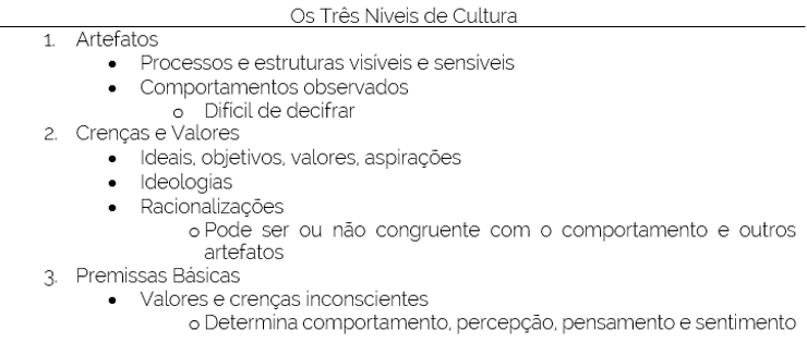 A imagem descreve os três níveis de cultura organizacional, segundo a teoria de Edgar Schein.